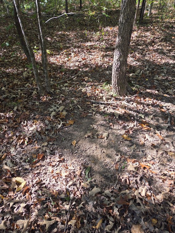 Image for 29.57 Ac +/- Off Hwy PP, Marble Hill MO 63764, MLS # 25071827