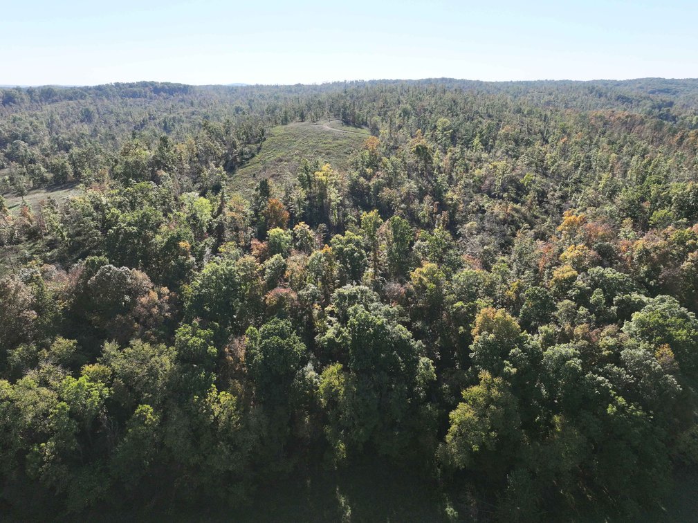 Image for 117.8 Acres +/-, Off Hwy F, Annapolis MO 63620, MLS # 25070582