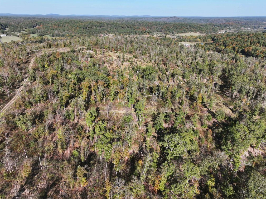 Image for 117.8 Acres +/-, Off Hwy F, Annapolis MO 63620, MLS # 25070582