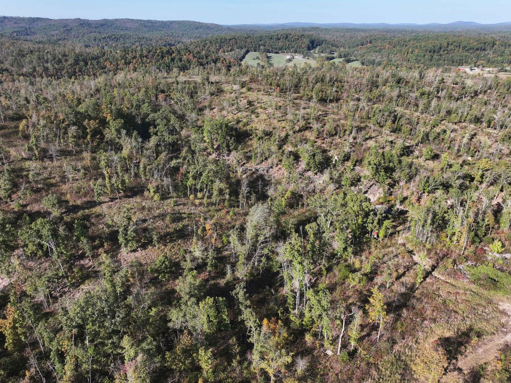 Image for 117.8 Acres +/-, Off Hwy F, Annapolis MO 63620, MLS # 25070582