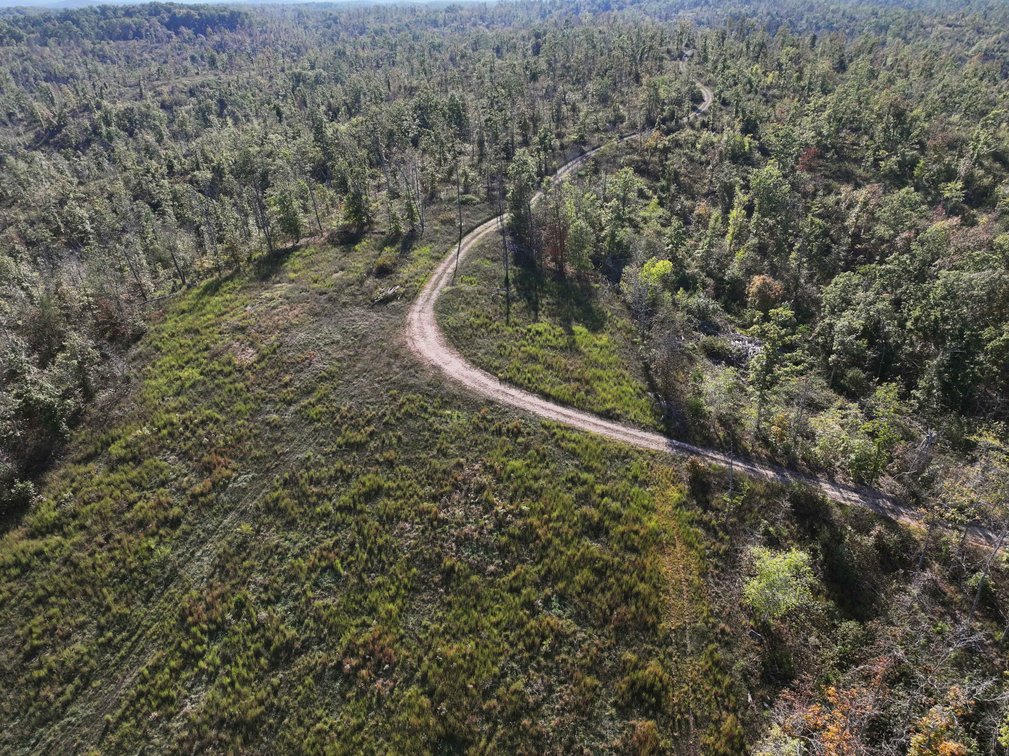Image for 117.8 Acres +/-, Off Hwy F, Annapolis MO 63620, MLS # 25070582
