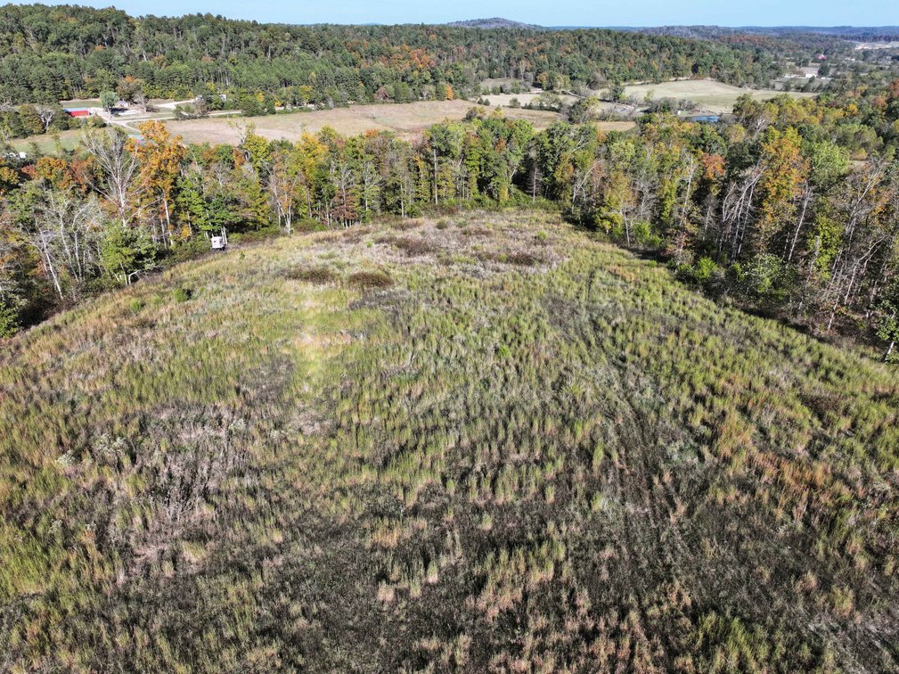 Image for 117.8 Acres +/-, Off Hwy F, Annapolis MO 63620, MLS # 25070582