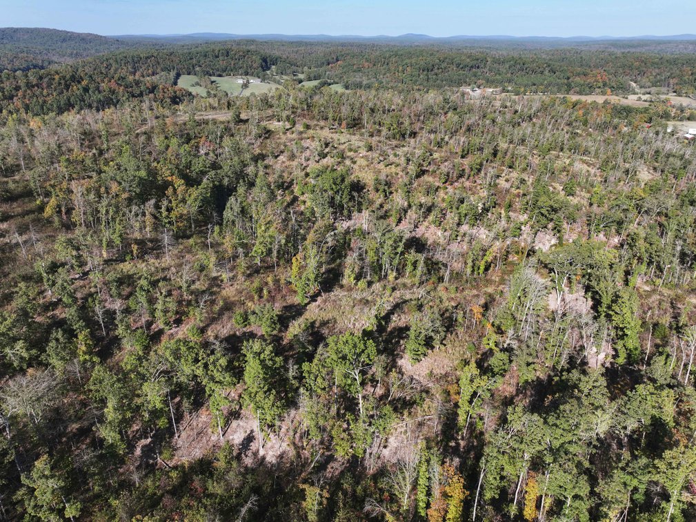 Image for 117.8 Acres +/-, Off Hwy F, Annapolis MO 63620, MLS # 25070582
