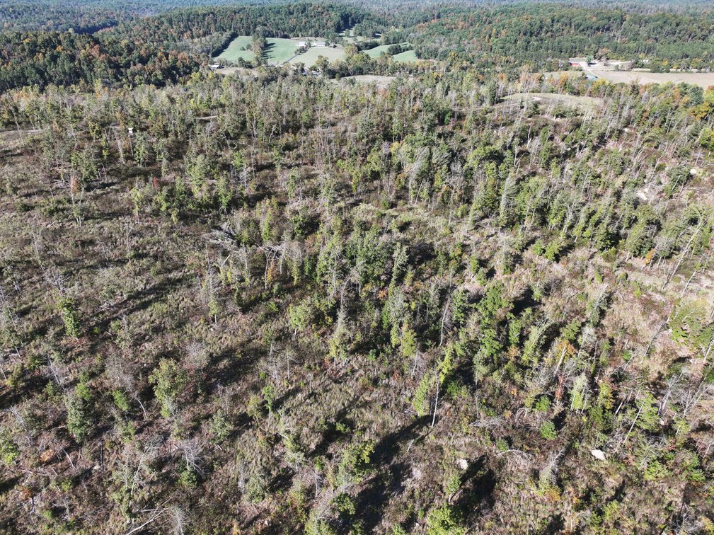 Image for 117.8 Acres +/-, Off Hwy F, Annapolis MO 63620, MLS # 25070582