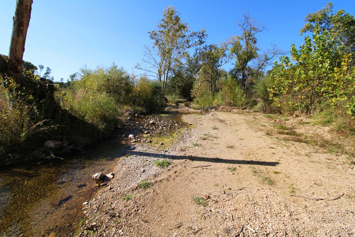 Image for 117.8 Acres +/-, Off Hwy F, Annapolis MO 63620, MLS # 25070582