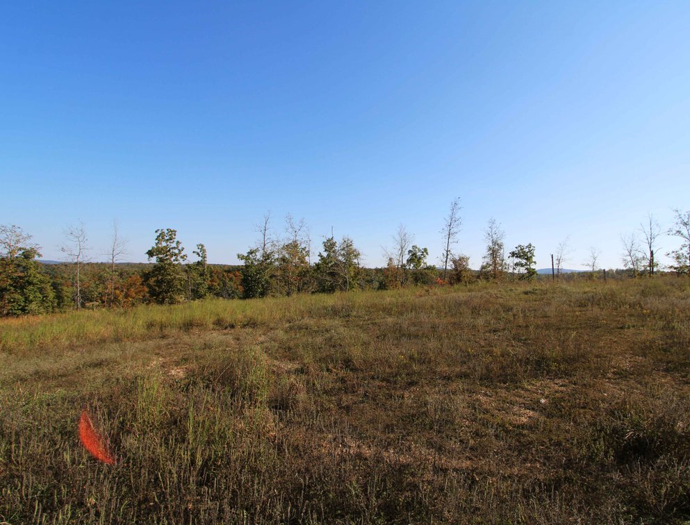 Image for 117.8 Acres +/-, Off Hwy F, Annapolis MO 63620, MLS # 25070582