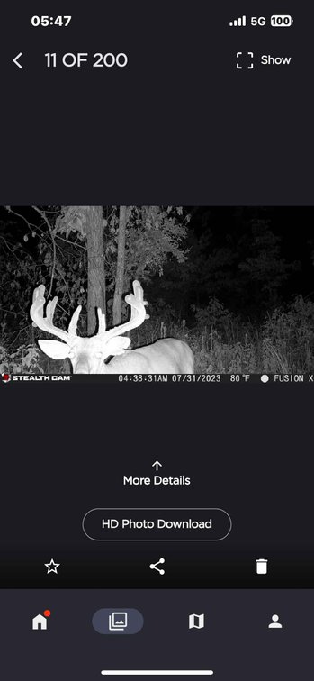 Image for 117.8 Acres +/-, Off Hwy F, Annapolis MO 63620, MLS # 25070582