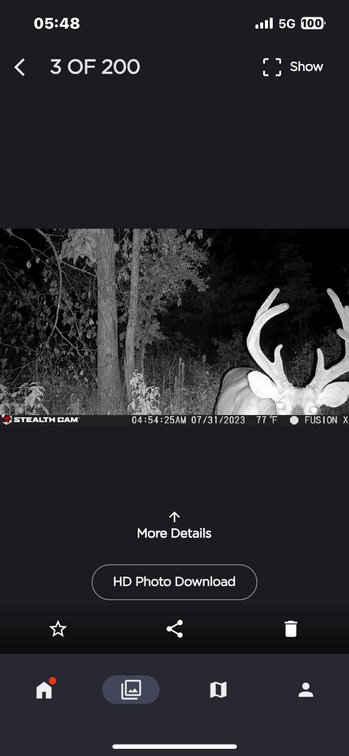 Image for 117.8 Acres +/-, Off Hwy F, Annapolis MO 63620, MLS # 25070582