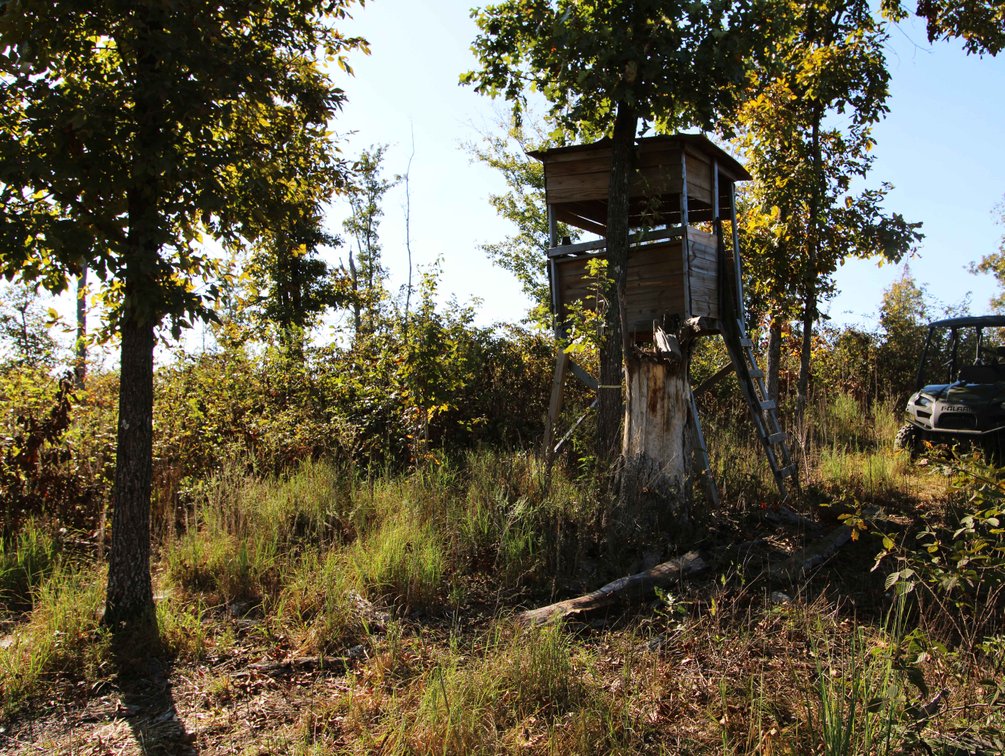Image for 117.8 Acres +/-, Off Hwy F, Annapolis MO 63620, MLS # 25070582