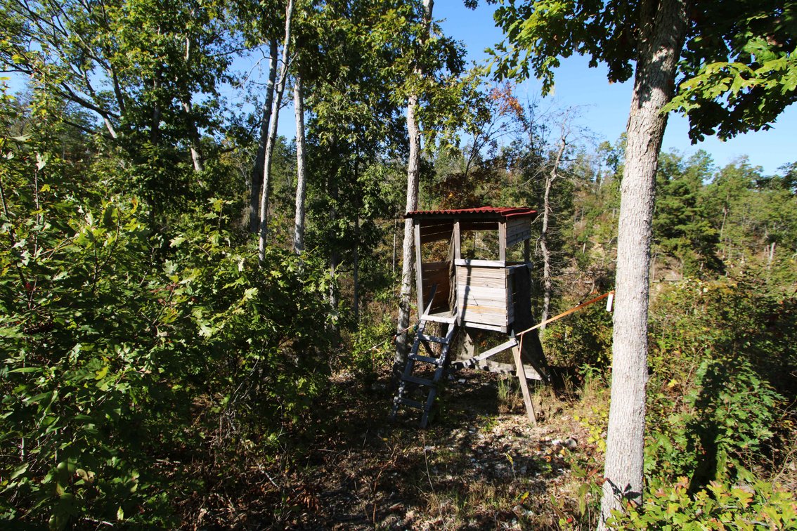 Image for 117.8 Acres +/-, Off Hwy F, Annapolis MO 63620, MLS # 25070582