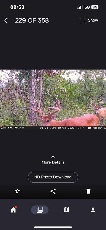 Image for 117.8 Acres +/-, Off Hwy F, Annapolis MO 63620, MLS # 25070582