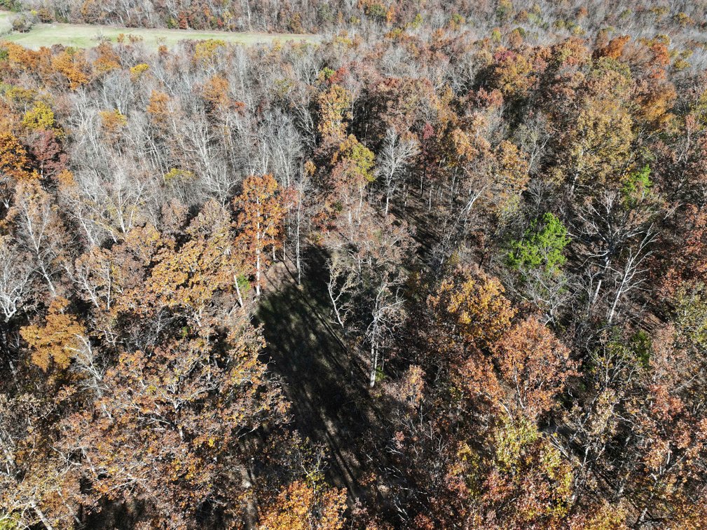 Image for 25.5 Acres +/-, Tract 1 Off BCR 930, Patton Missouri 63662, MLS #25075217