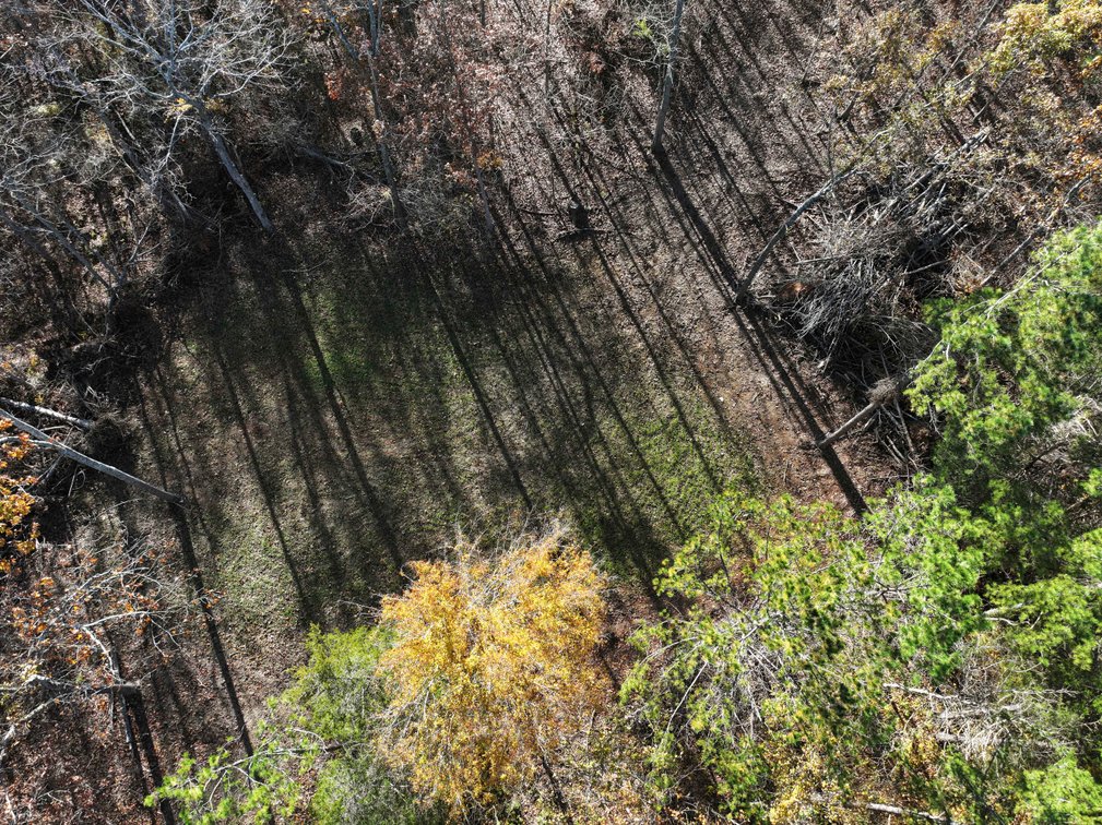 Image for 25.5 Acres +/-, Tract 1 Off BCR 930, Patton Missouri 63662, MLS #25075217