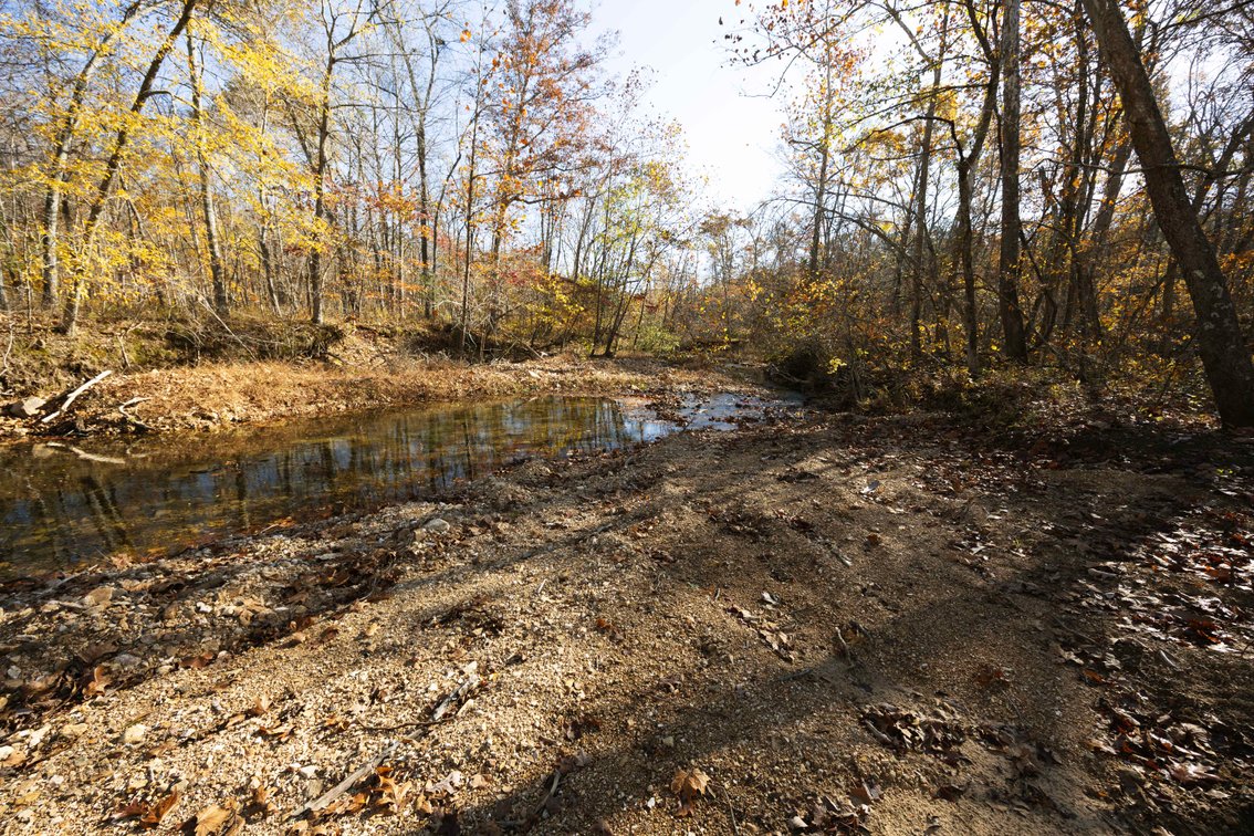 Image for 25.5 Acres +/-, Tract 1 Off BCR 930, Patton Missouri 63662, MLS #25075217