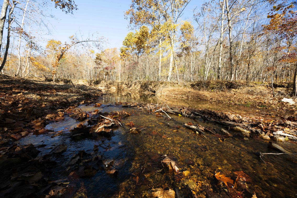 Image for 25.5 Acres +/-, Tract 1 Off BCR 930, Patton Missouri 63662, MLS #25075217