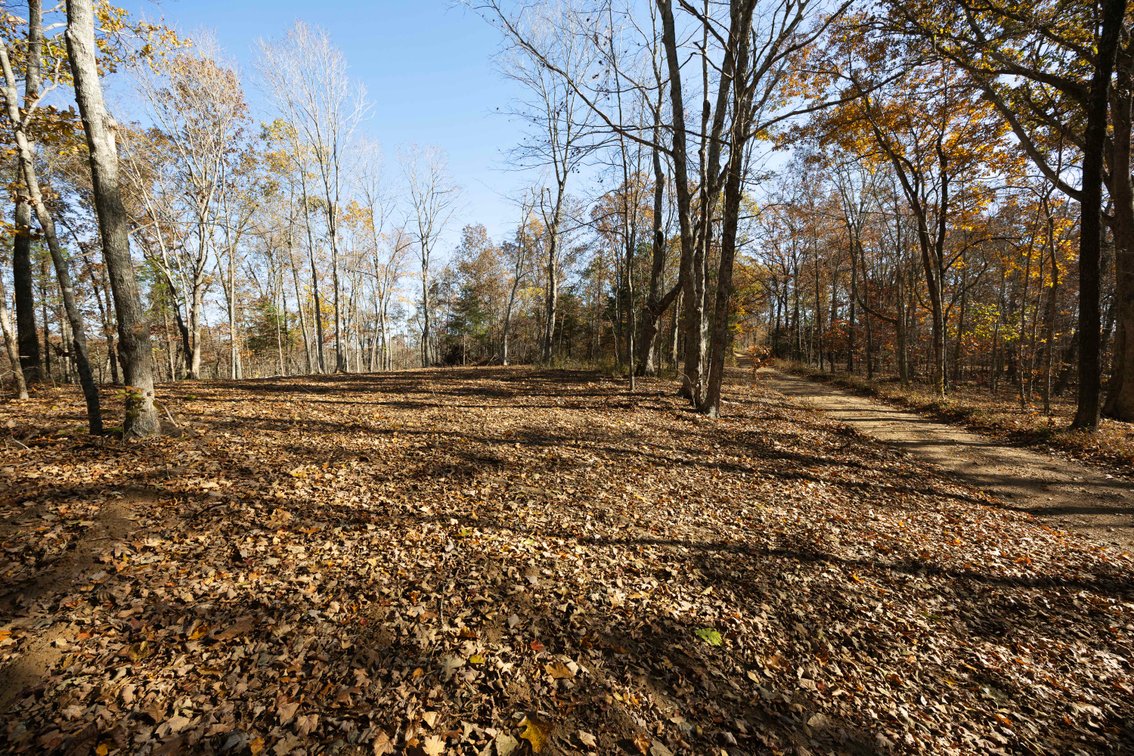 Image for 25.5 Acres +/-, Tract 1 Off BCR 930, Patton Missouri 63662, MLS #25075217