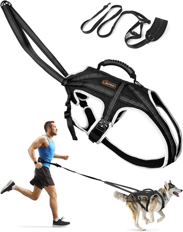 Dog Running Harness Set with Waist Belt & Shock Leash