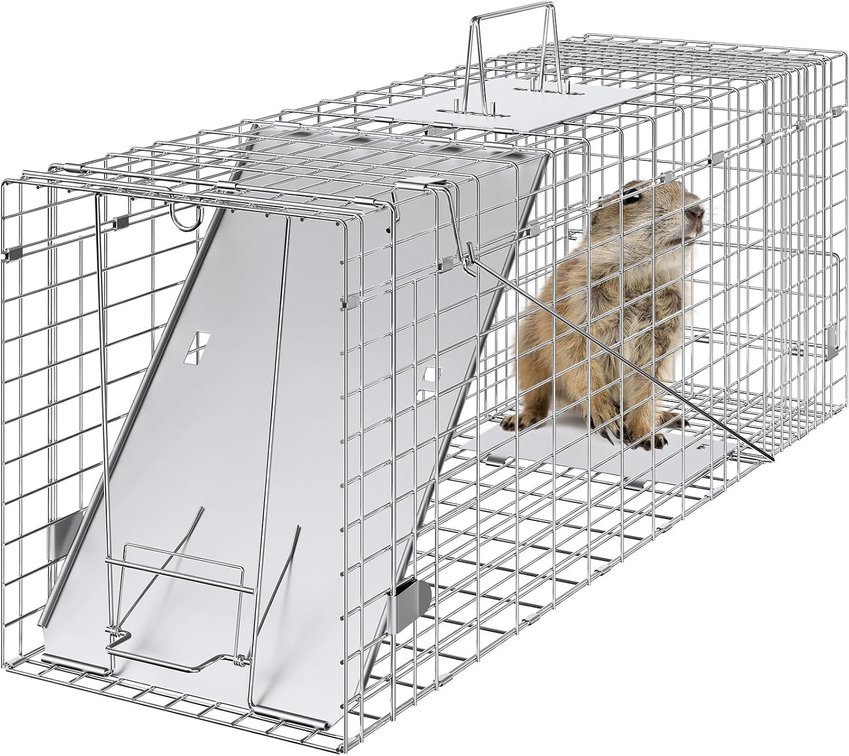VEVOR Live Animal Cage Trap, 31x10x12, Galvanized Iron