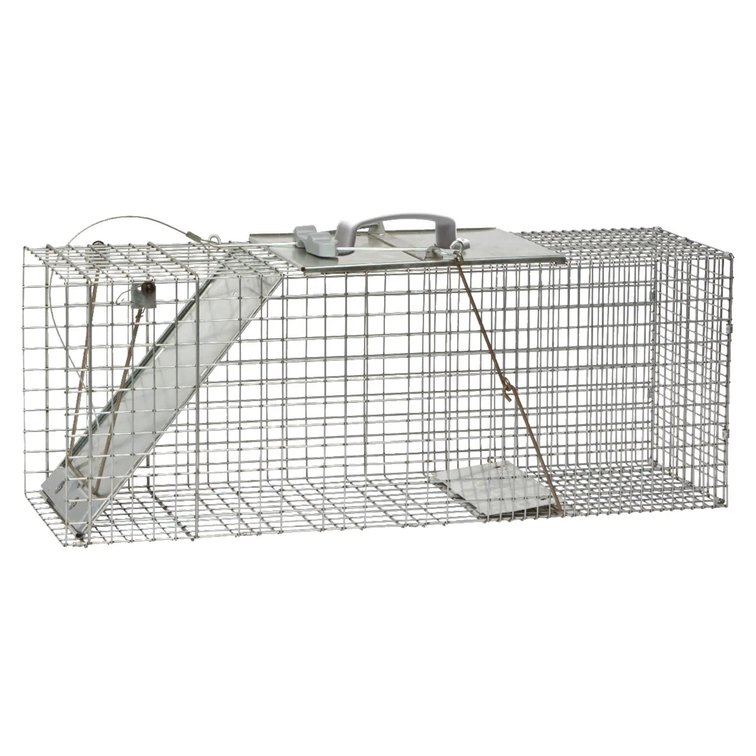 Havahart Large Live Catch Cage Trap for Cats & Raccoons 1 pk