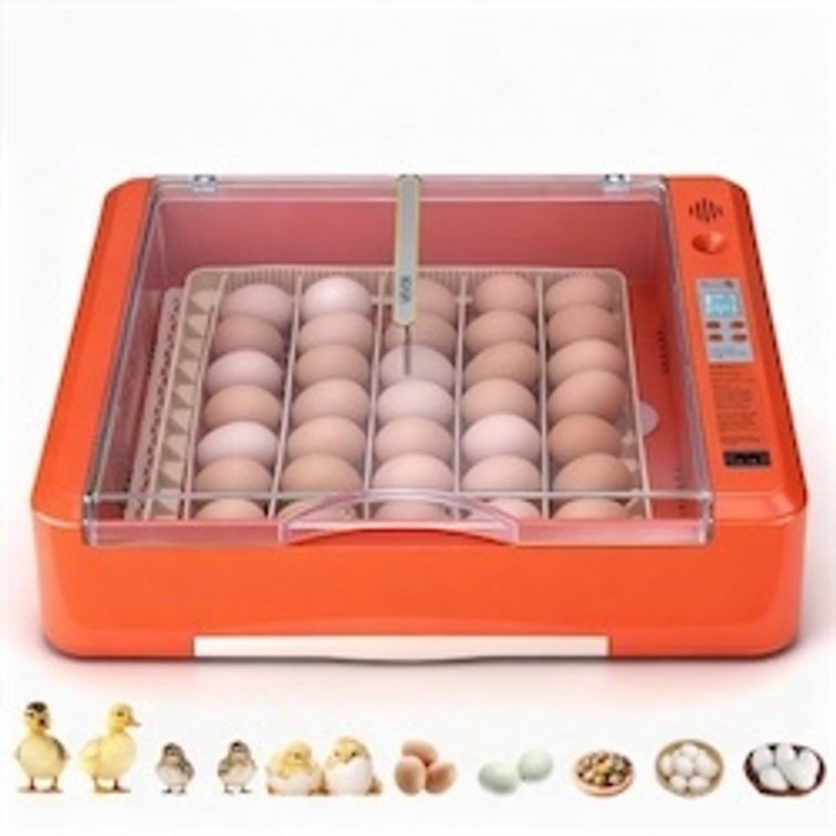 VEVOR 36 Egg Incubator, Auto Egg Turner, LED Candler & WaterTray