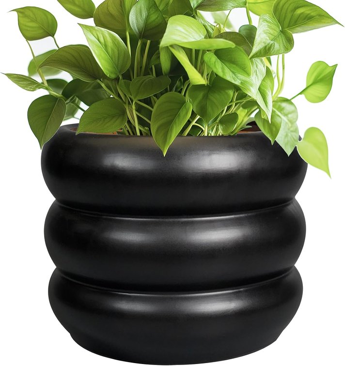 2pk SQOWL 8-Inch Ceramic Plant Pot with Drainage, Black