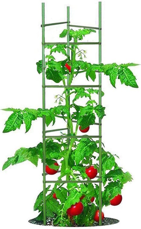 (2) Tomato Cage 5ft 6-Pack, Large Tall Cages, Stakes & Supports