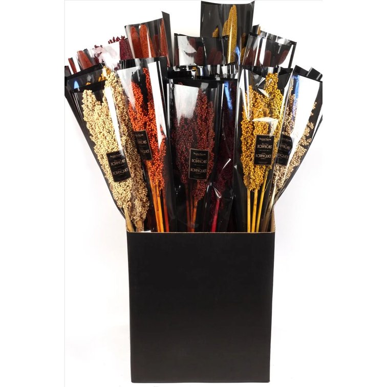 2pk Second Nature 24 in. Milo/Millet Dried Floral Stems Bouquet