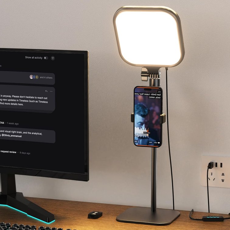 UBeesize Zoom Lighting for Computer with Desk Stand