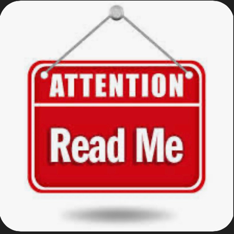 Terms and Conditions of the Auction