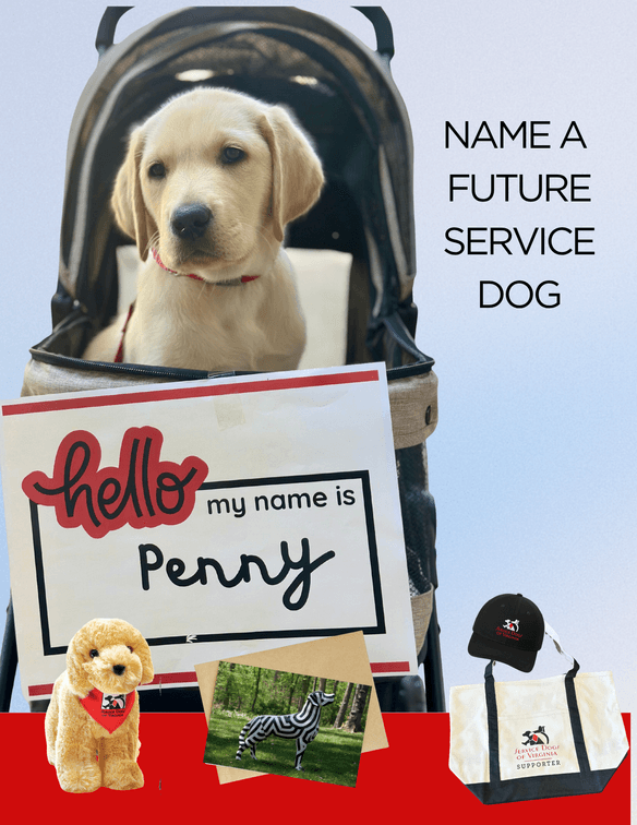 Name a Puppy + Service Dog of Virginia Merch
