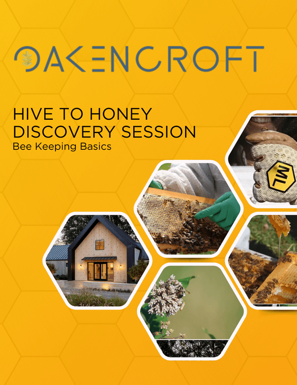 Hive to Honey Discovery Session: Beekeeping Basics