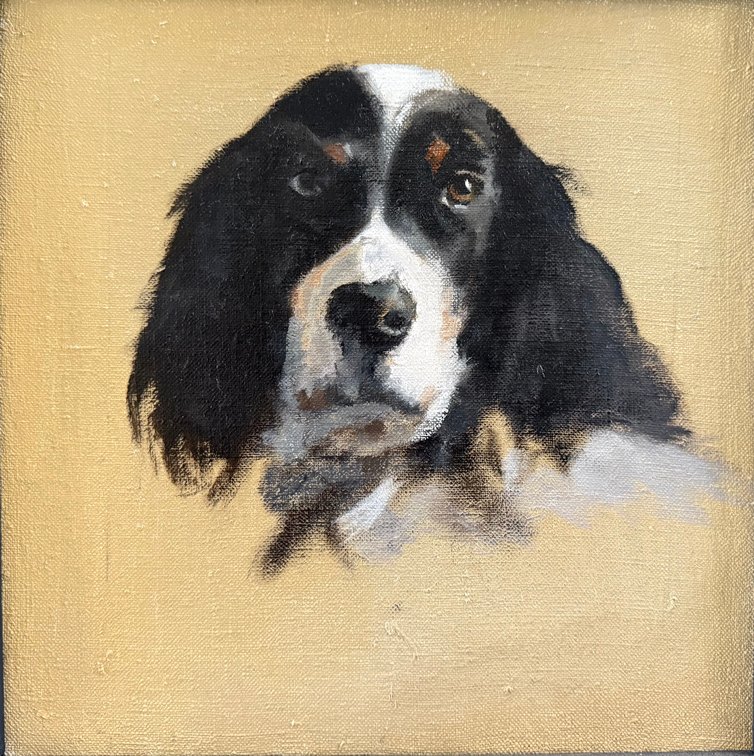 Custom Pet Portrait in Oil on Linen by Virginia Donelson