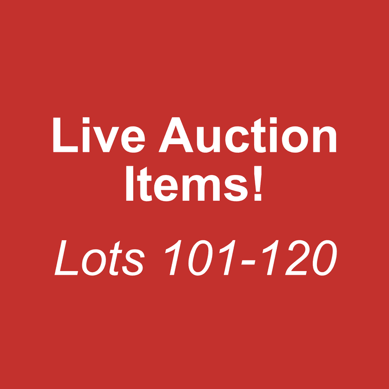 Lots 101-120 -- Labrador Statues