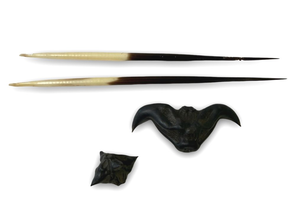 Porcupine Quills and Water Caltrops (Devil Pods)