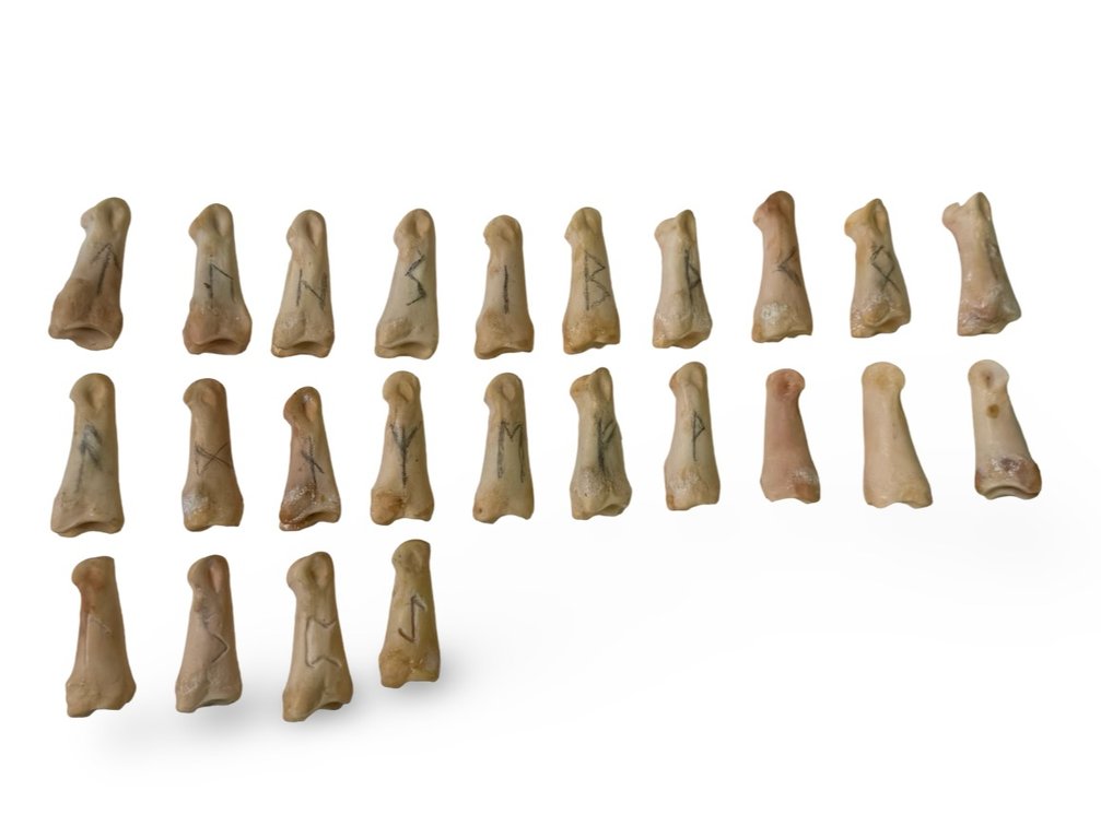 Mixed Bones with Nordic Runes