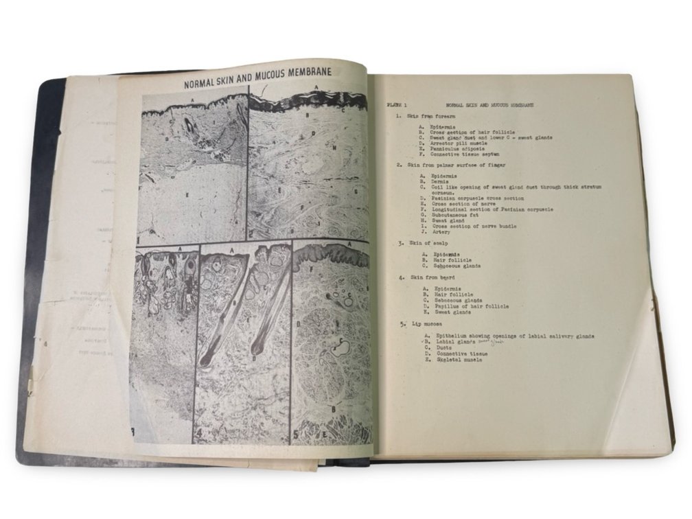 Medical School Study Book