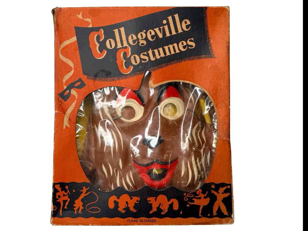 Collegeville Costumes Hot Dog Masquerade Costume