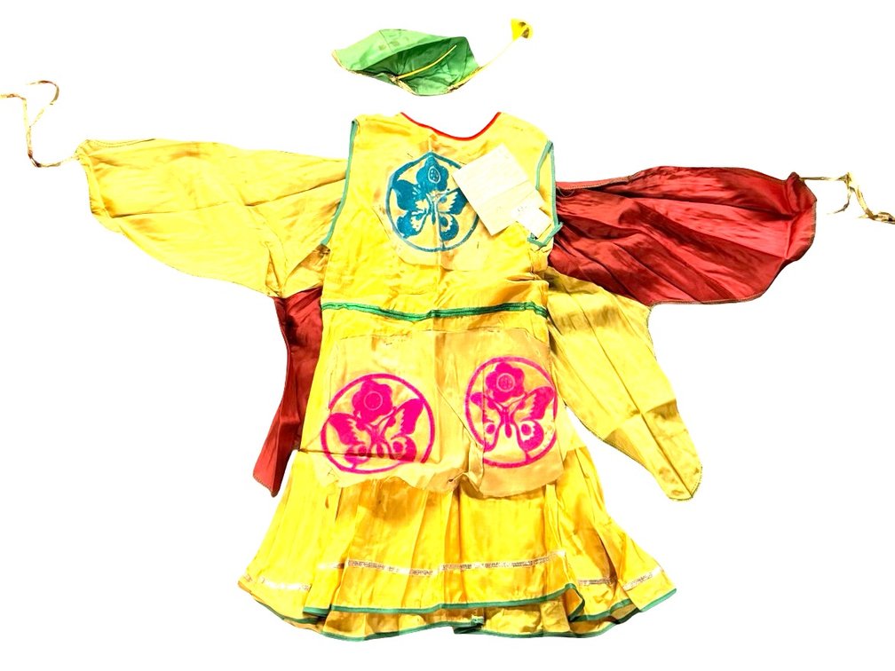 Collegeville Prototype Butterfly Costume with Cap