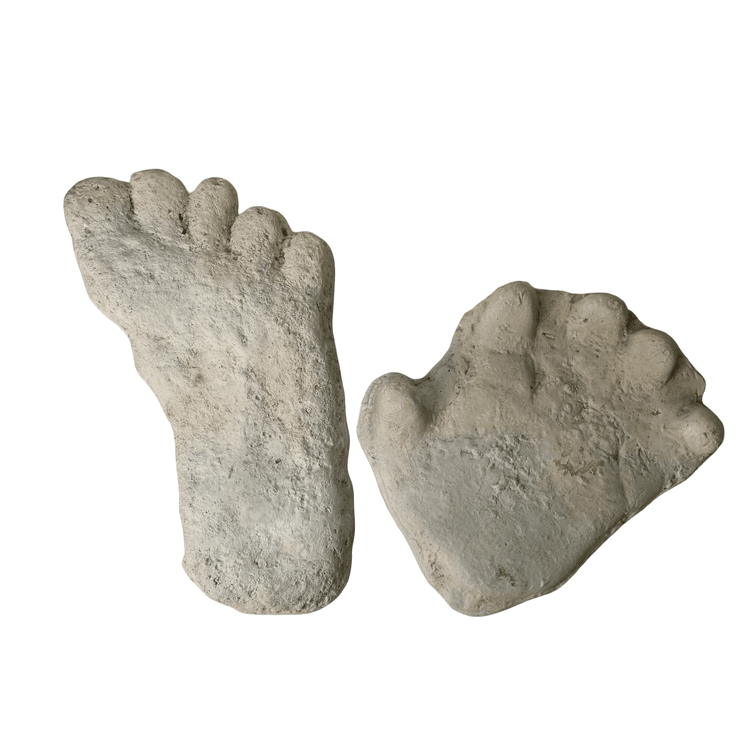 Cast Bigfoot Foot and Hand Track