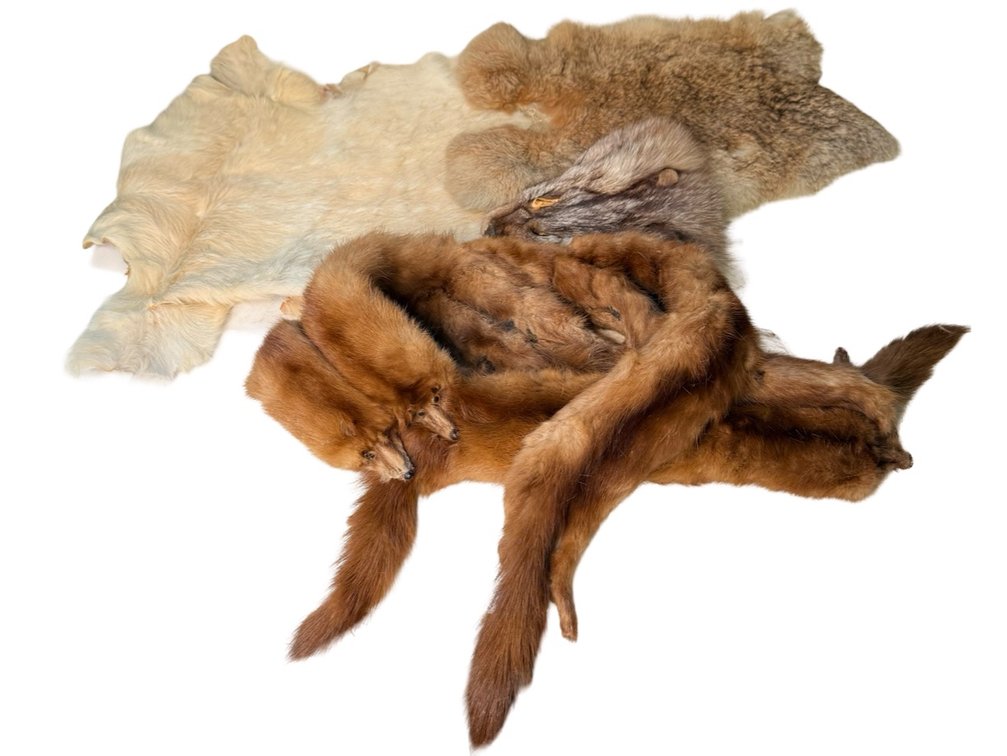 Animal Fur Pelts and Multi-Pelt Fur Stole