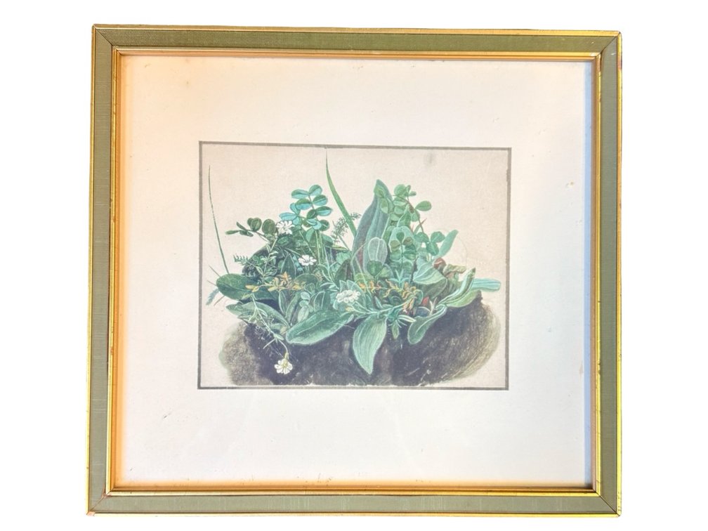 Albrecht Durer 'Small Grasses' Framed Botanical Print