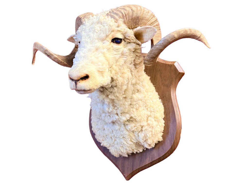 Ram Head Mount