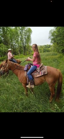 Image for Hamilton Co. Horse Sale & Tack Auction