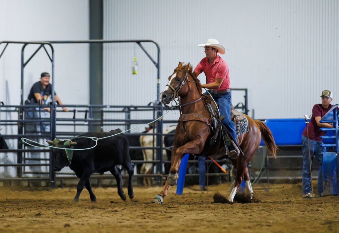 IM PACKKIN HEAT- 2015 AQHA Sorrel Gelding 15.2 hands