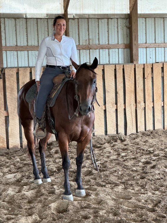 Fancy Sun Pine ‘Ranger’ is a 2020 model AQHA gelding standing roughly 15h