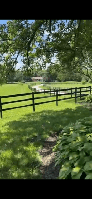 Image for Hamilton County Horse & Tack Sale -August 1st-Noblesville, IN