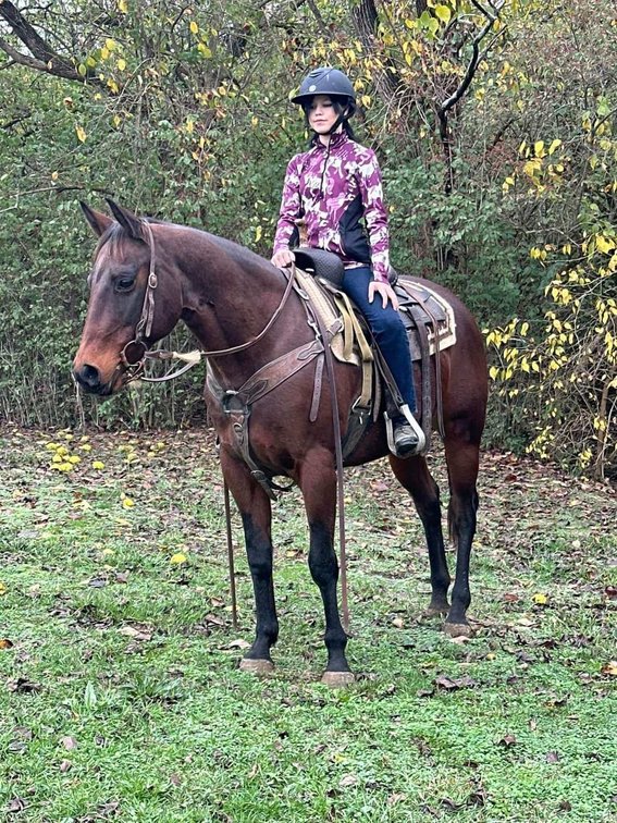 2006 model AQHA MARE