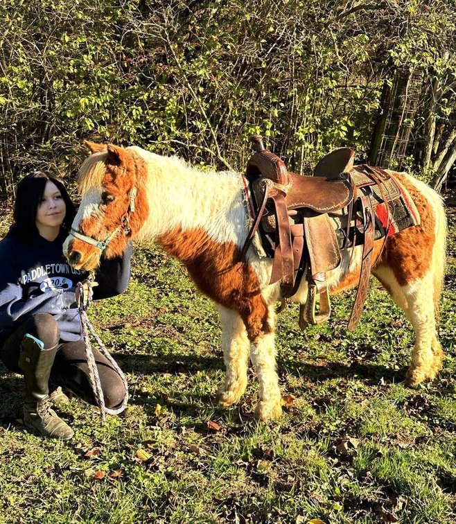 KandiKane is a super seasoned 13 yr old  42" paint pony mare