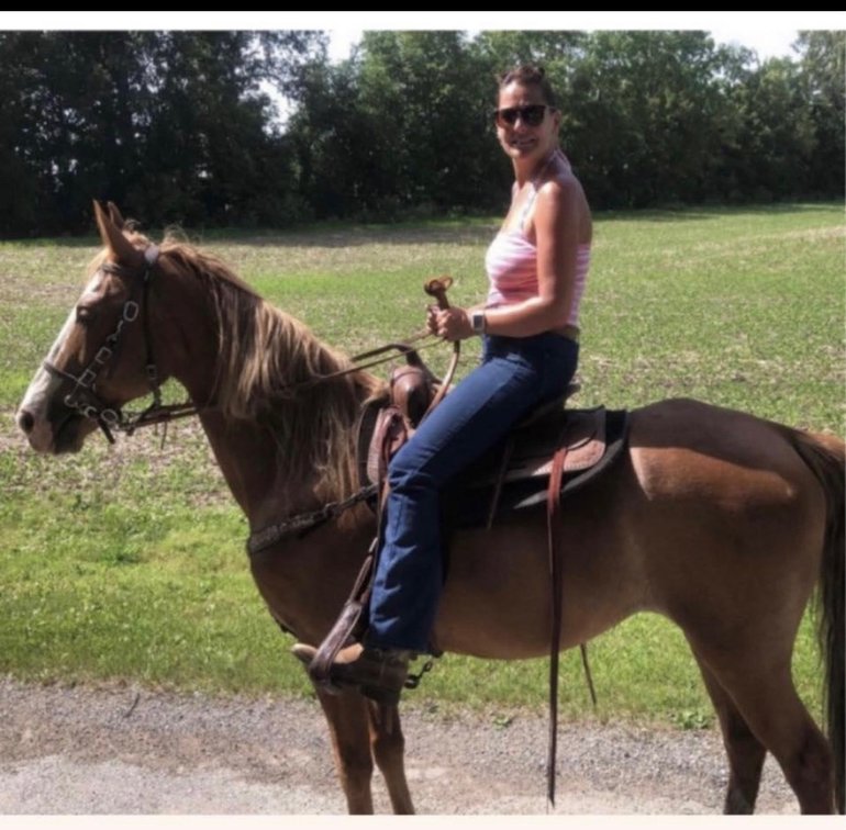 15 year old gaited mare