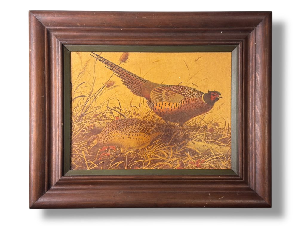 Vintage Wm Zimmerman Framed Pheasant Print 13.25”L x 16.25”W